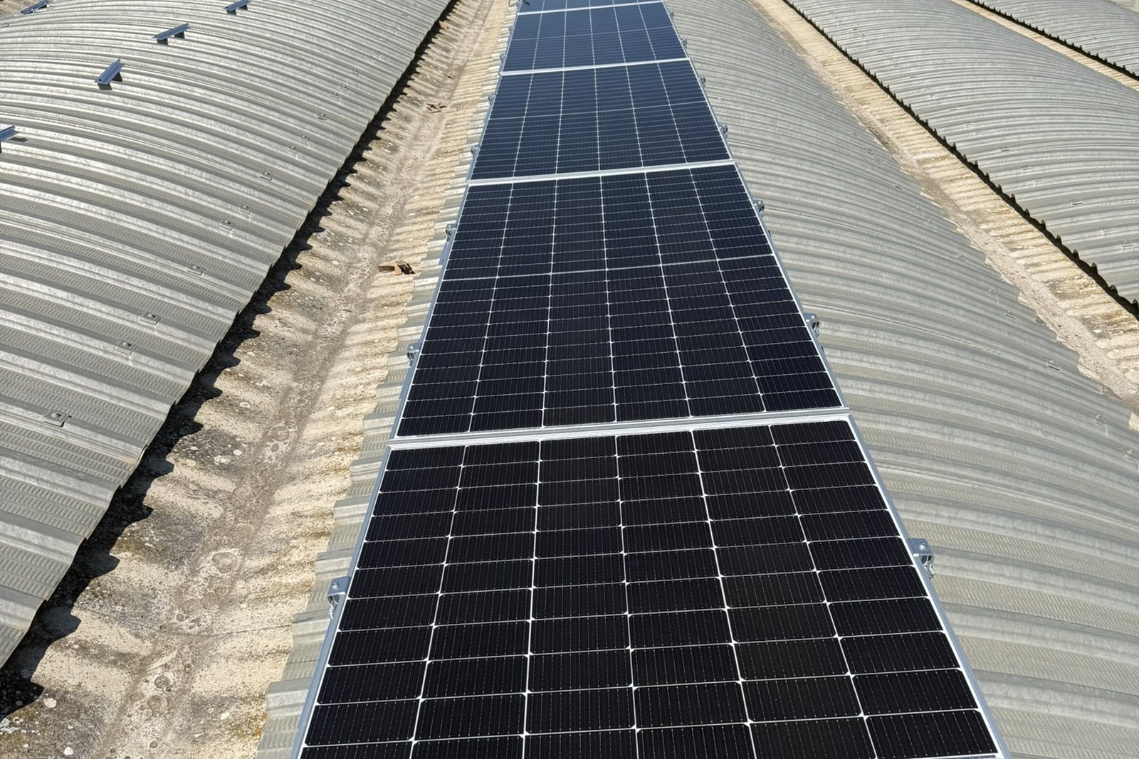 Impianto fotovoltaico a servizio di un'azienda agricola della Murgia